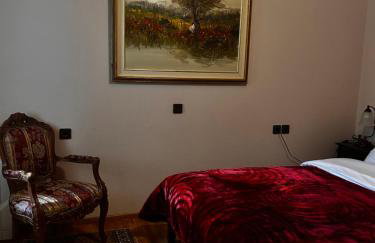 MetsoVillas στο κέντρο του Μετσόβου - Photo 46