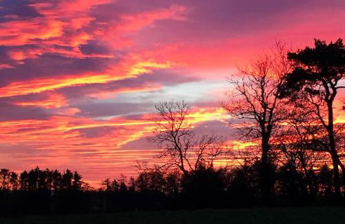 West Tannacrieff - Foto 10