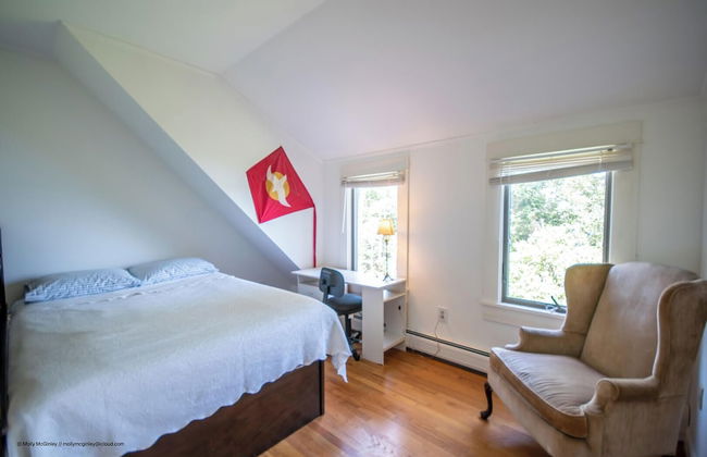 Puffin Rock - New 2022! - Photo 4