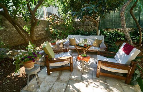 Aspidistra Shadow - Foto 18