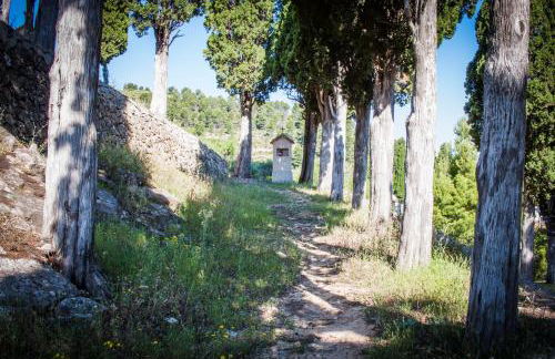 Casa Amparo - Alquiler íntegro con encanto en Alicante - Foto 32