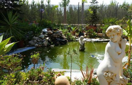 Casa Rural Mi Campo - Foto 59