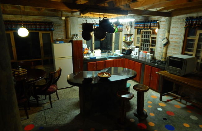 Dogs and Fish Dream Land - Foto 7