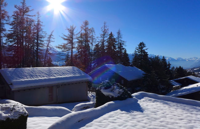 Robin des Bois B 15 - Foto 35