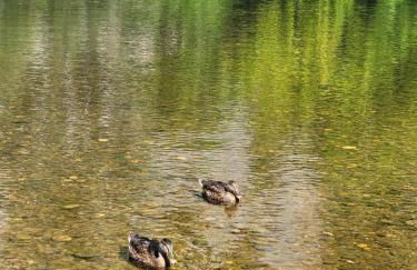 Villa Saumonière I Bords de Dordogne - Foto 66