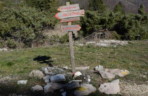 Le ginestre - Foto 20