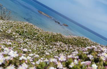 Domo S'apposentu - Foto 46