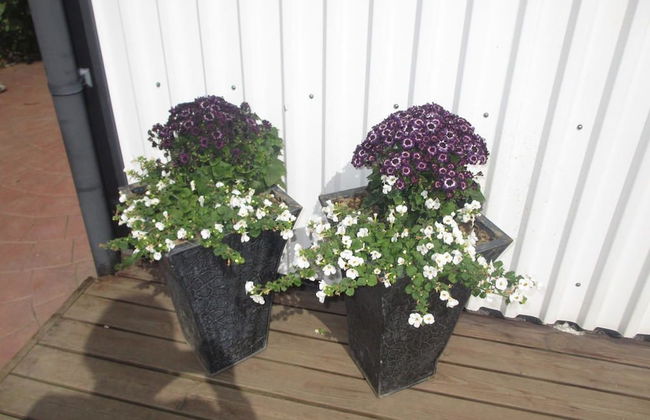 Ártún Apartment - In Hofn - Photo 21