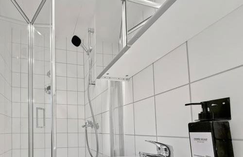 Zentrales Stgt 3SZ 12 Pers - Foto 11