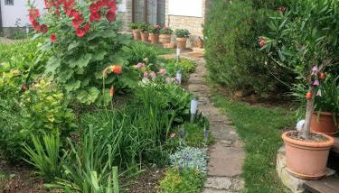 Ferienwohnung "Am Geiseltal" - Foto 4, Garden