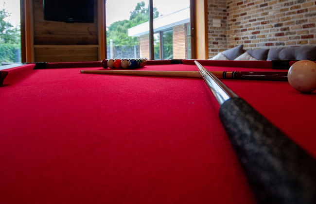 Villa With Swimming Pool in Erembodegem - Photo 50