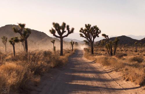 Modern Desert Dream - NEW BUILD - Foto 40