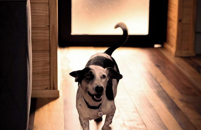 Rancho Denver - Photo 77