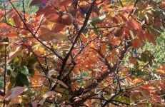 Villa Le Palmine - Foto 47