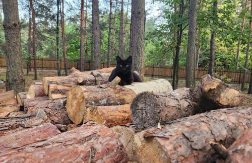 Leśna Osada Wieliszew - Foto 23