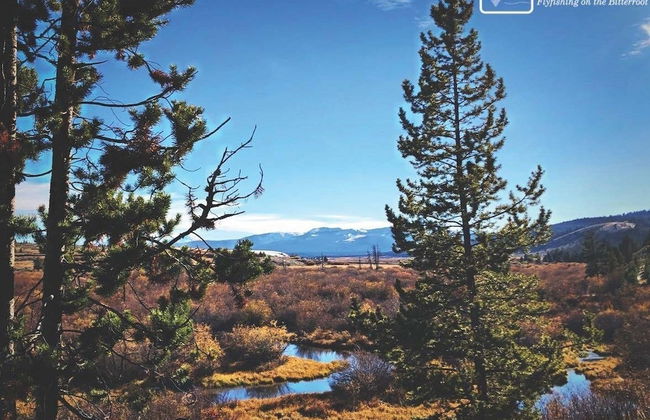 Hannon House - Photo 78