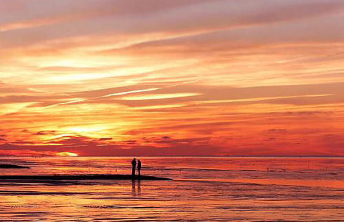 Vacanze Residence Mimose - Foto 11