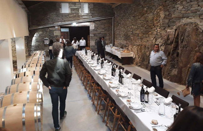 Quinta São Luiz Wine Tasting - Photo 5