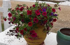 House Kokkalas on the beach - Photo 19