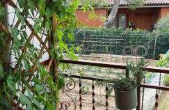 Residenza dei Pini - Foto 20