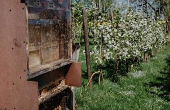 4 Sterne Ferienwohnung Hochries - Foto 17