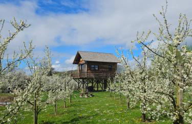 Baumhaus Heuhütte - Foto 22