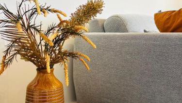 Ponte Velha - Foto 5