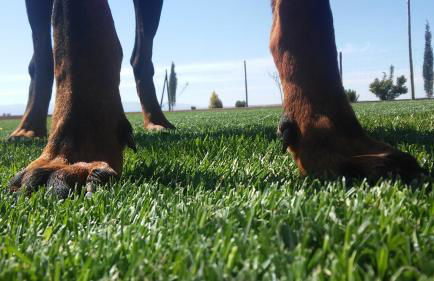 Casa Rural Atalaya House - Foto 40