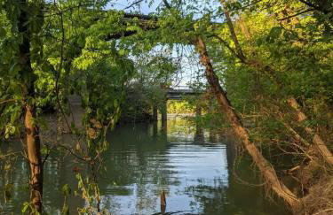 Nana Cabin Tiny Log Home Comfort In Rustic Bliss - Foto 26