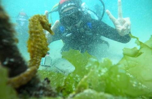 Apartamentos Ria de Aldan - Foto 22