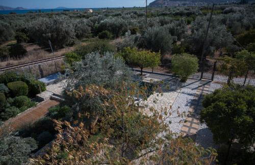 Elysian Garden Villa - Photo 7