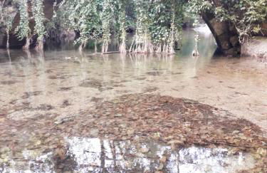 Quinta da Casa Matilde - NATURE HOUSE - Foto 53