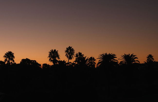 CANVS by CABN Seppeltsfield Barossa - Foto 17