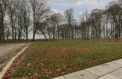 Winnie's Stable - Foto 15