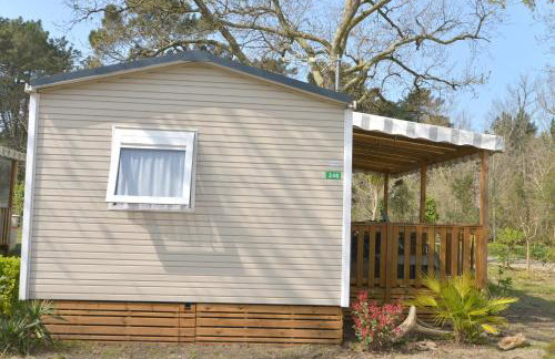 Entre Pins & Océan-15mn à pied - C'LA VIEconciergerie - Foto 30