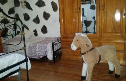 Casa Canaria Tejeda - Foto 25