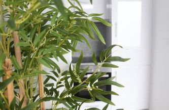 Loreto Apartment - Photo 24