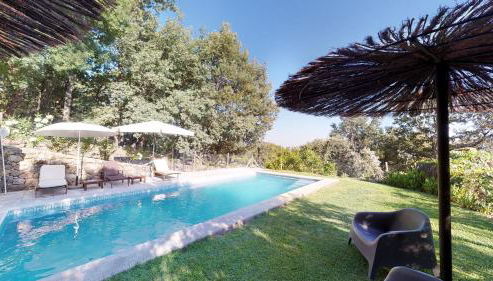 Abejas 1 de El Vergel de Chilla - Foto 4