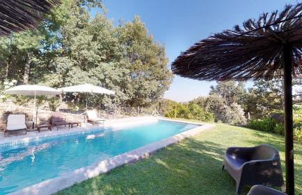 Abejas 1 de El Vergel de Chilla - Foto 4