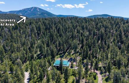 Dog Friendly Mountain Cabin with Hot Tub - Foto 46