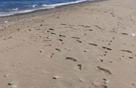 Calabria Camera matrimoniale 2 per vacanza al mare- VILLA FRANCA - Foto 19