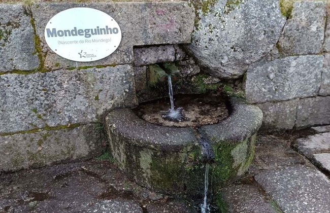 Serra da Estrela Day Trip - Photo 7