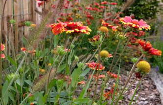 Ferienwohnung Mohnblume - Foto 16
