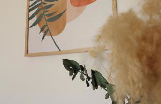 Sublime Appartement avec Parking sur Ajaccio - Foto 3