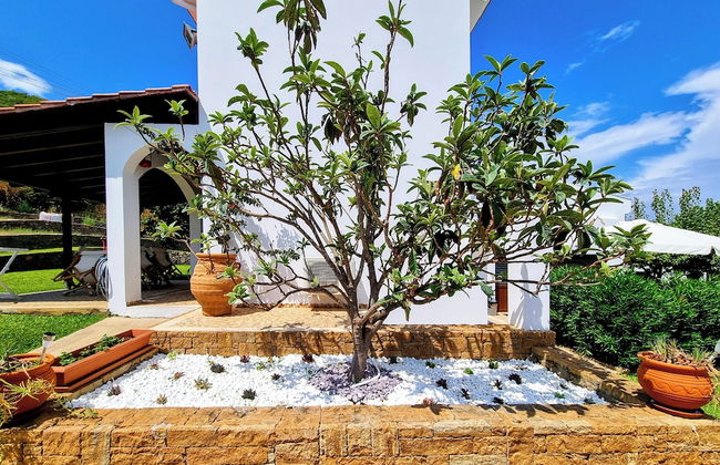 Ktima Amitsa - Foto 34