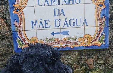 Penedo Casa do Casal Amigo - Foto 37