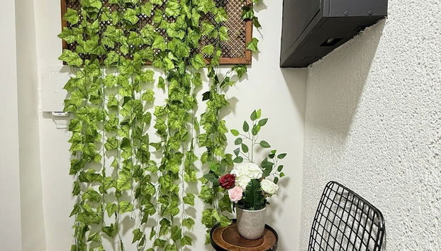 Entrada (vista interior)