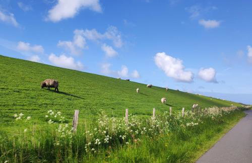 Lieblingsstube - Foto 23