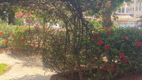 Apartamento en playa Serena - Foto 3