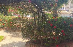 Apartamento en playa Serena - Foto 3